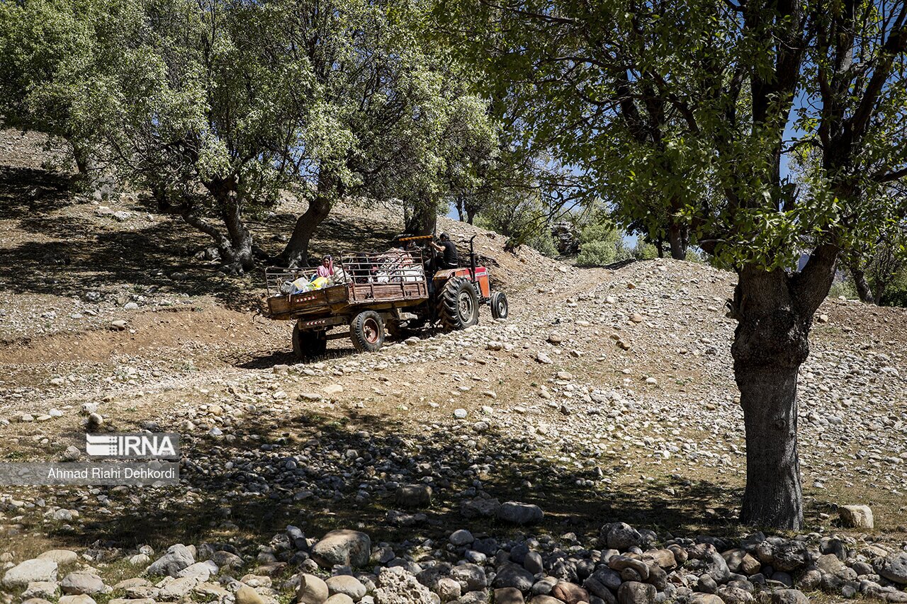 تصاویر: کوچ بهاره عشایر