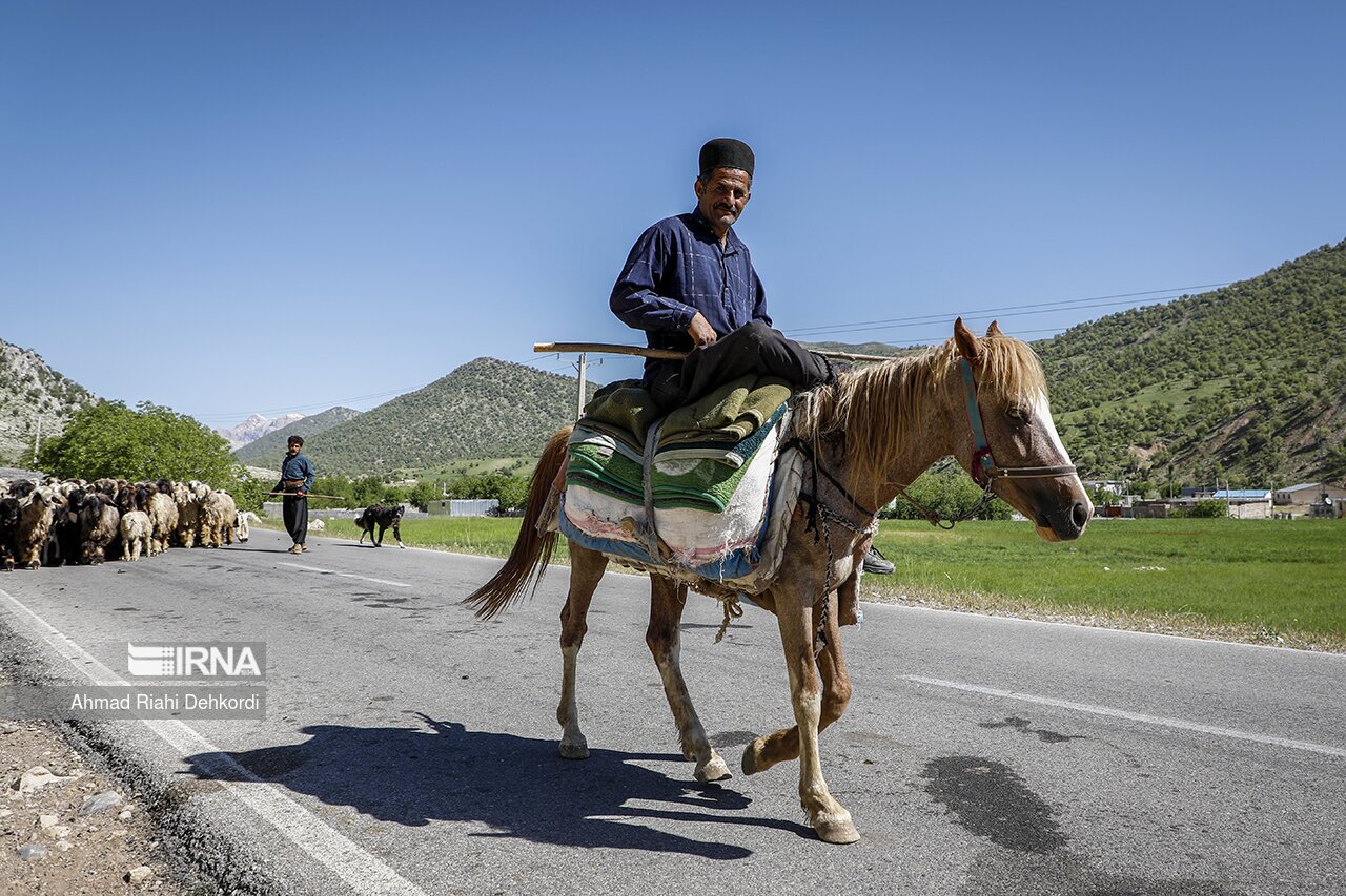 تصاویر: کوچ بهاره عشایر