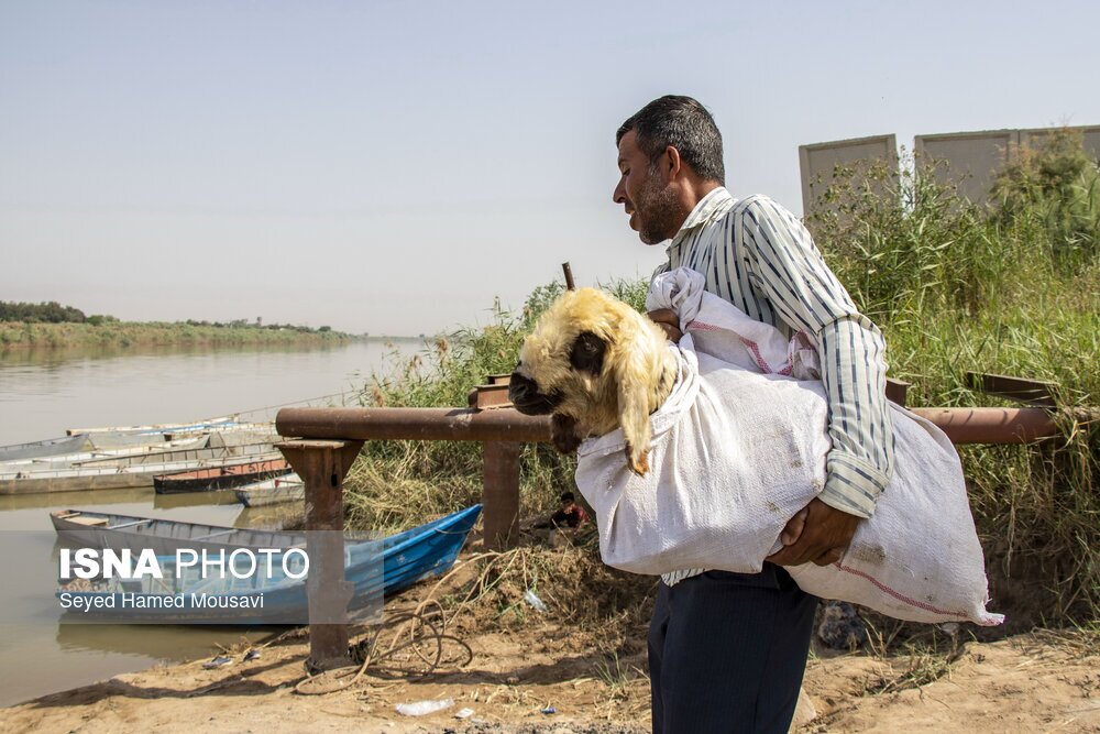 تصاویر: گذر سخت از رودخانه