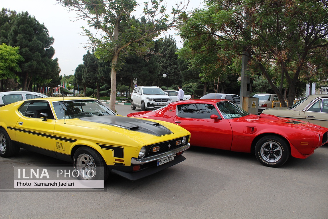 تصاویر: رالی خودروهای خاص و کلاسیک