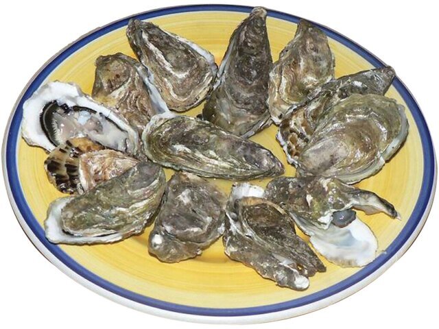 عجیب‌ترین غذاهایی که زنده زنده سرو می‌شوند