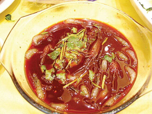 عجیب‌ترین غذاهایی که زنده زنده سرو می‌شوند