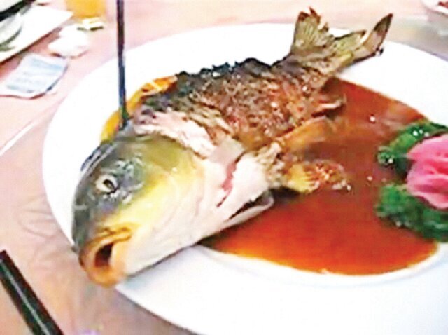 عجیب‌ترین غذاهایی که زنده زنده سرو می‌شوند