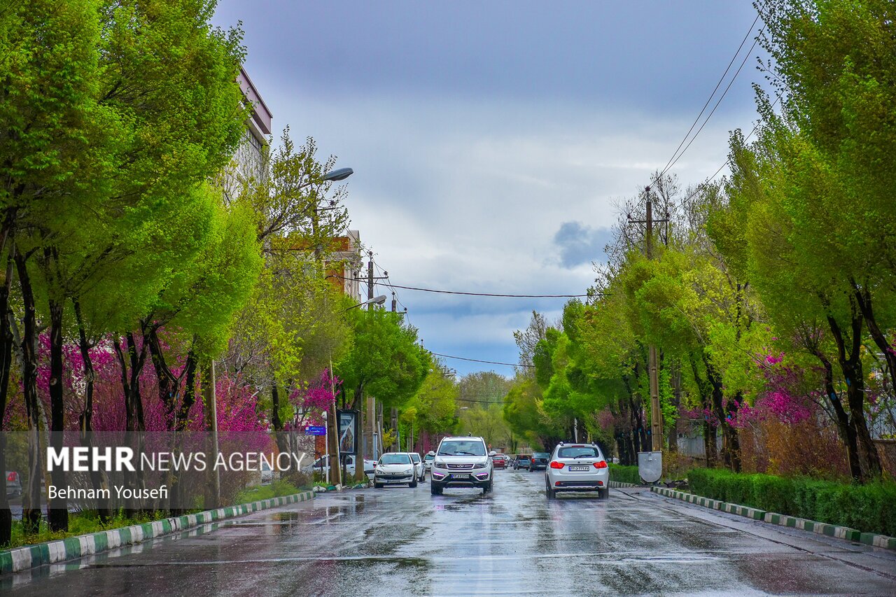 تصاویر: طراوت و زیبایی باران بهاری اراک
