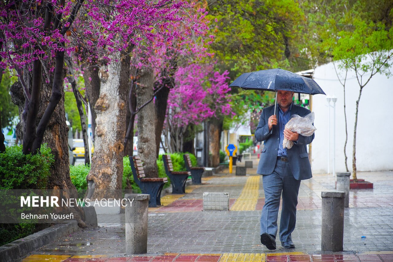 تصاویر: طراوت و زیبایی باران بهاری اراک