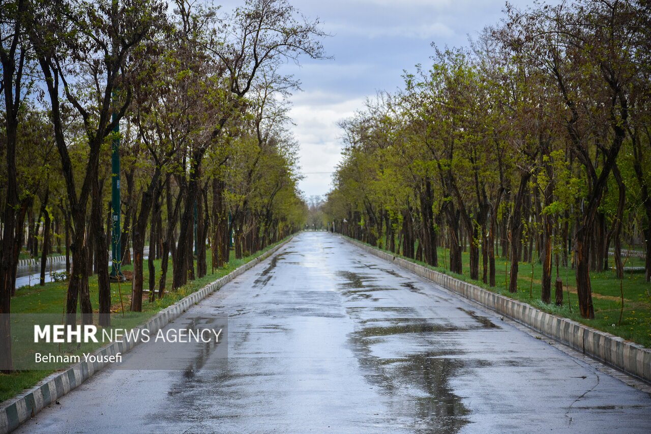 تصاویر: طراوت و زیبایی باران بهاری اراک