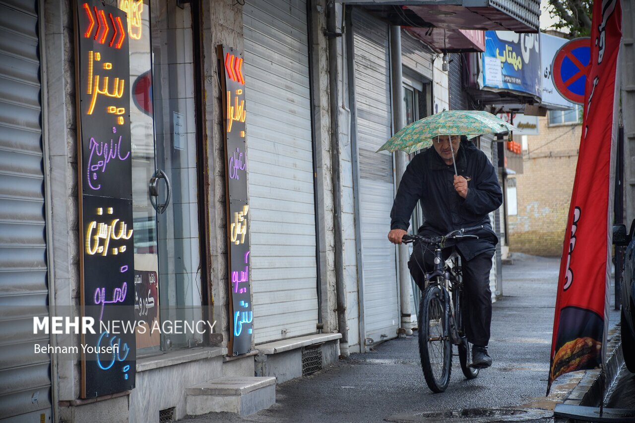 تصاویر: طراوت و زیبایی باران بهاری اراک