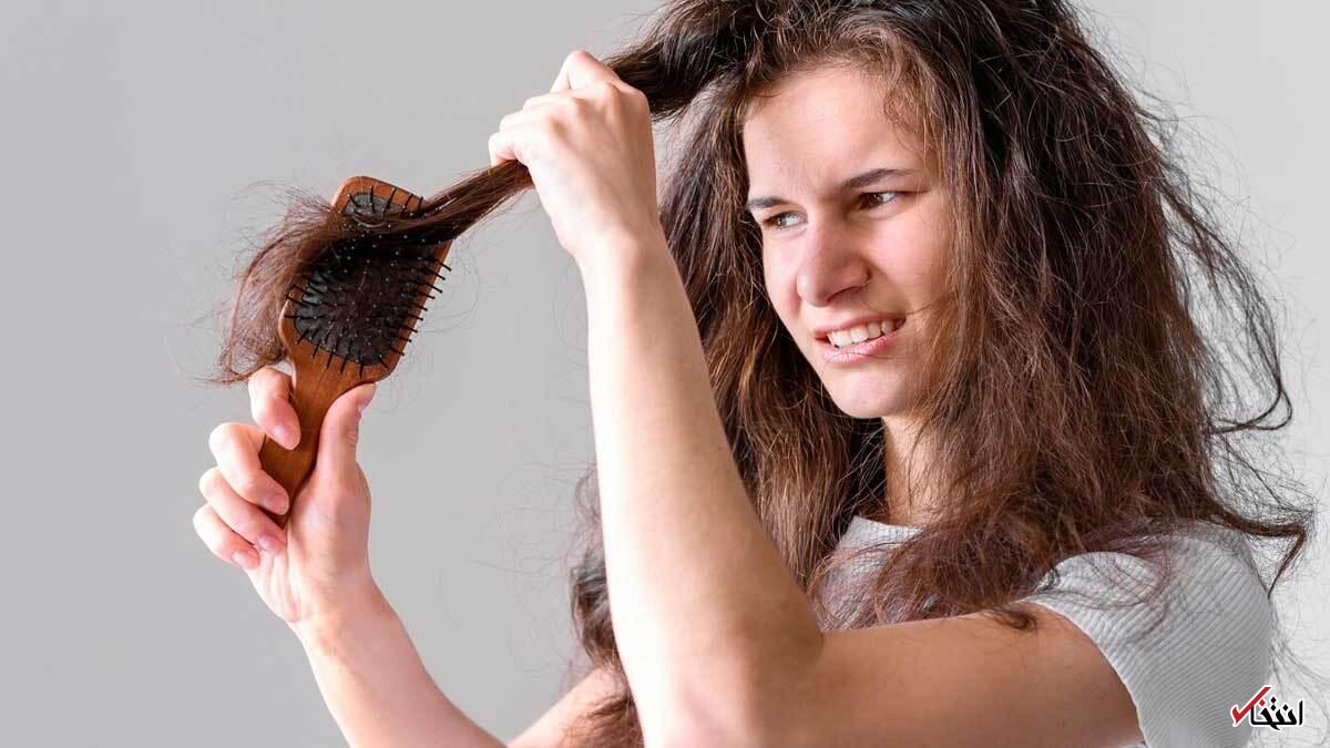 چه نوع برسی مناسب موی شماست؟ راهنمای مقابله با وز مو
