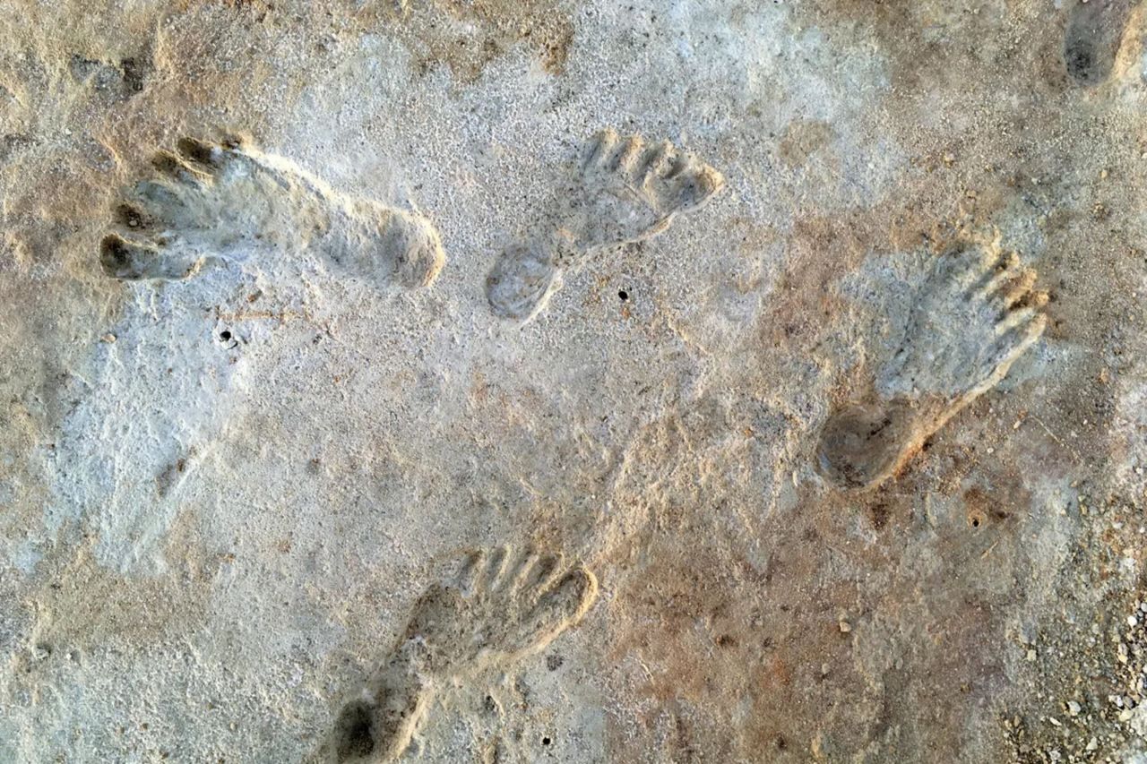 تأیید قدیمی‌ترین ردپا‌های آمریکا؛ انسان‌ها ۲۳ هزار سال پیش در جهان جدید زندگی می‌کردند