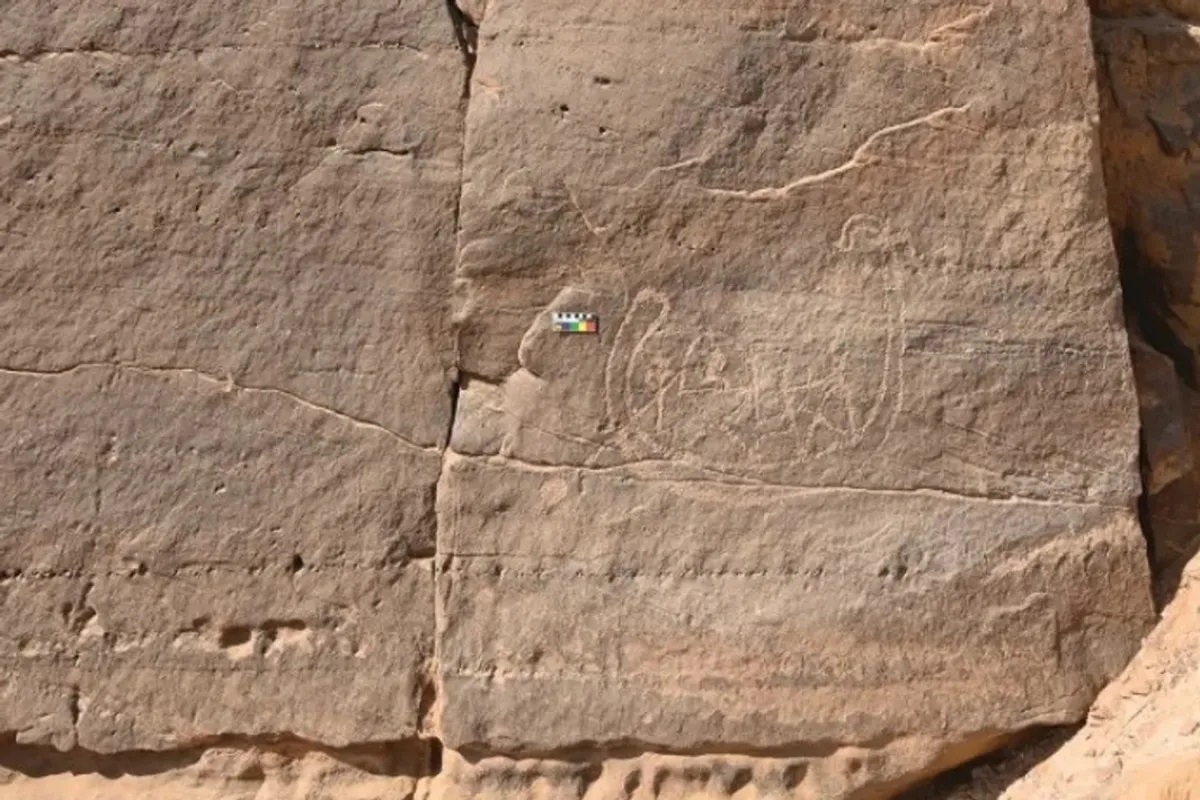 کشف نادر در مصر: سنگنگاره ۵ هزار ساله احتمالاً حاکمان پیشافرعونی را نشان میدهد
