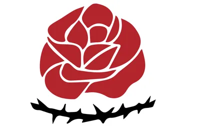 ادامه مکاتبات در آلمان شرقی درمورد حزب توده