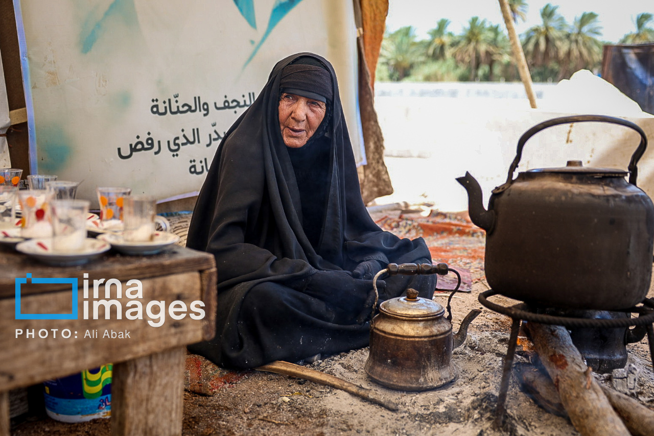 تصاویر: پیاده روی اربعین - طریق العلماء