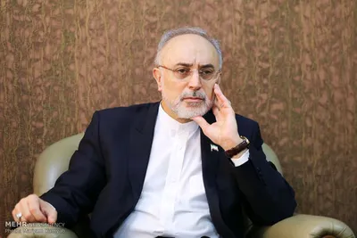 علی اکبر صالحی: در شرایط فعلی نه آمریکا خواهان تبدیل شعار America first به America last است و نه ایران به دنبال تولید سلاح هسته‌ای است /اکنون بیش از هر زمان دیگری پیگیری سیاست در معنای سعادت به واقعیت نزدیک شده