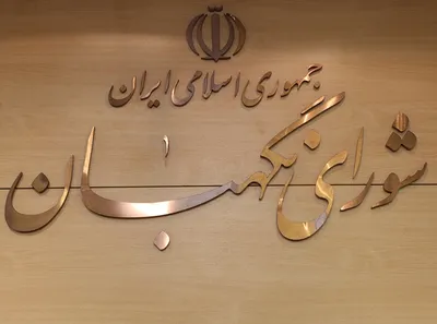 مصوبه انتخاباتی شورای نگهبان در دایره وظایف این نهاد نیست / مصوبه این شورا و هیچ مرجعی نمی‌تواند تعیین کننده معیار مدیر، مدبر، رجل سیاسی یا سن یا سایر شرایط کاندیداها باشد