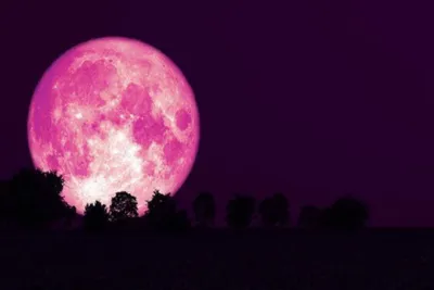ماه صورتی خرداد ماه را از دست ندهید