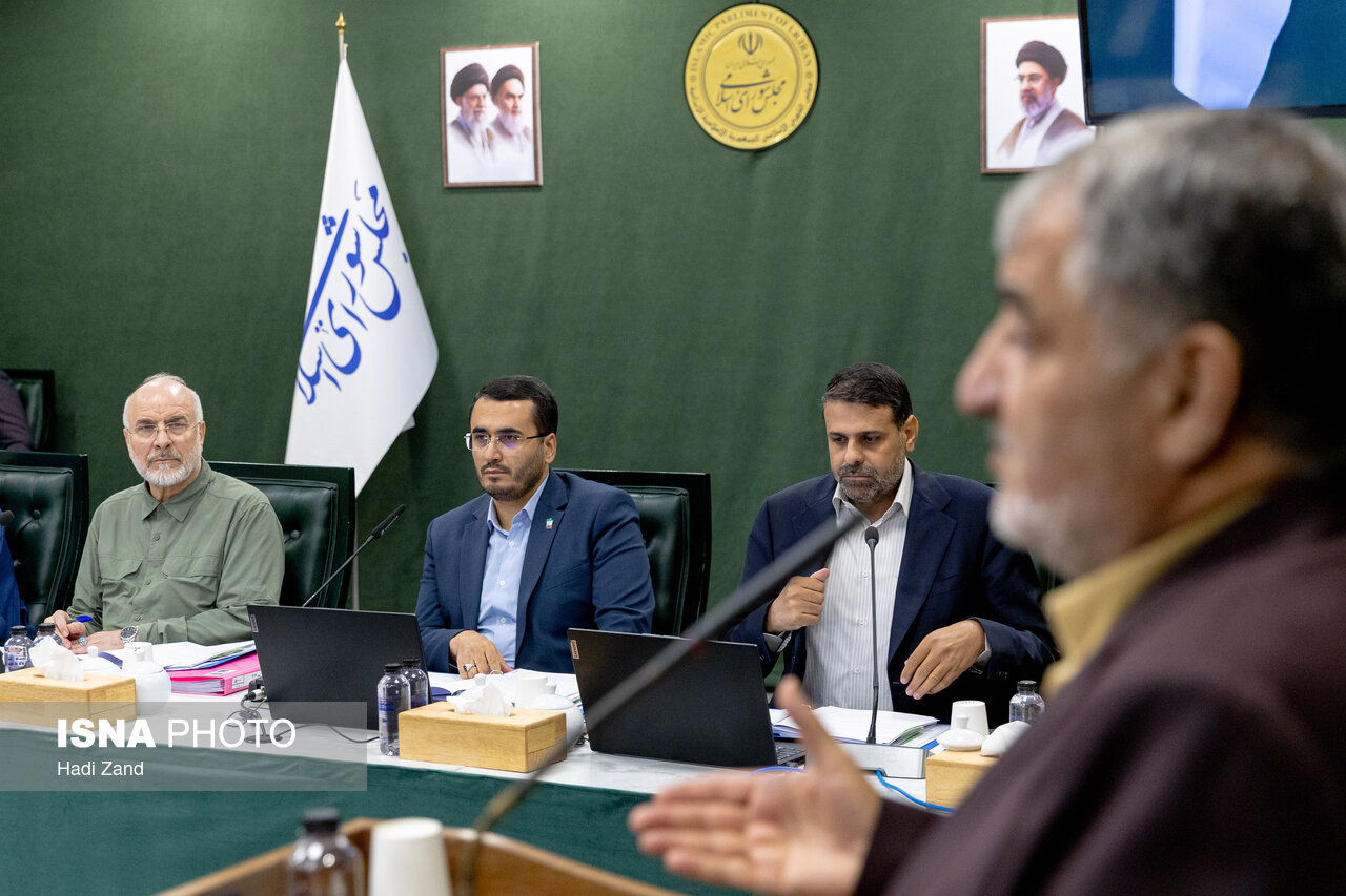 تصاویر: نشست علنی مجازی مجلس - ۱۵ شهریور