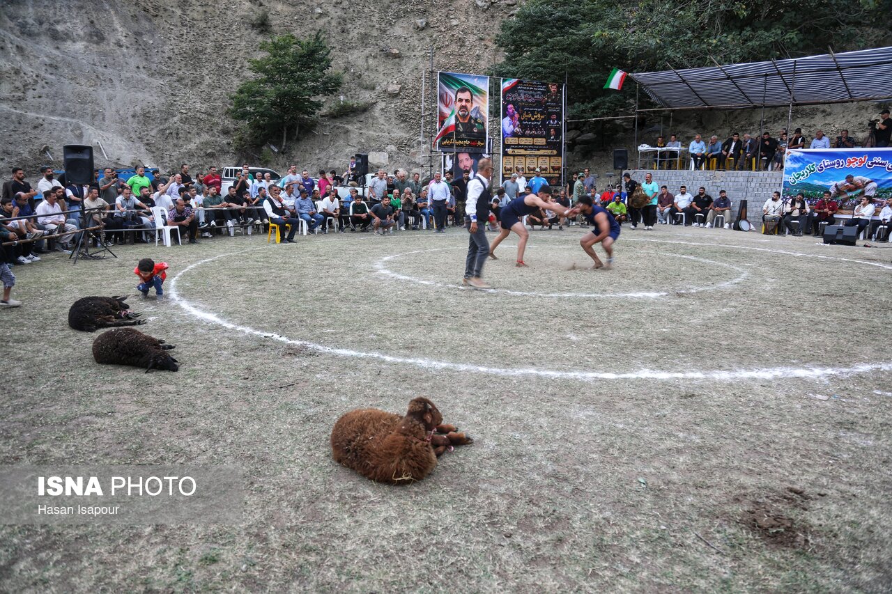 تصاویر: مسابقات کشتی سنتی لوچو - روستای کلاریجان