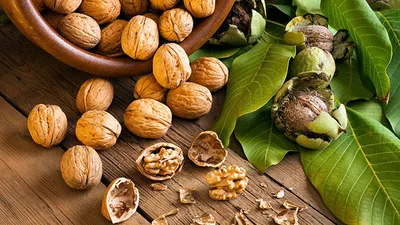 7ماده غذایی ضروری که خانم ها باید مصرف کنند!