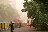 طوفان تهران ۴ مصدوم برجا گذاشت