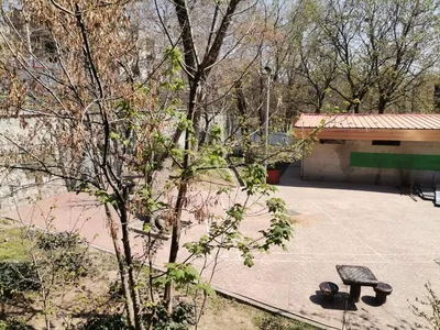 توقف عملیات ساخت مسجد در پارک قیطریه تهران / میراث فرهنگی: به شهرداری نامه زدیم که قبل از انجام هر کاری باید کارشناس ما در آنجا مستقر باشد / نیروهای یگان حفاظت خود را به پارک فرستادیم؛ آنها گزارش دادند که حصارهای فضایی که قصد داشتند در آنجا مسجد بسازند، برداشته شده / هیچ اقدامی از جمله گودبرداری در آن محدوده انجام نشده / در آن محوطه باستانی ۳۵۰ گور کشف شده؛ هنوز آثار زیادی آنجا هست که باید کاوش شود
