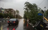 ببینید/ طوفان شدید و رعد و برق در سعادت آباد تهران