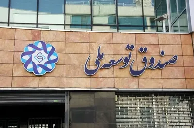 خانلو، مقام سازمان برنامه و بودجه: ۱/۵ میلیارد دلار از صندوق توسعه ملی برداشت و صرف تأمین کالا‌های اساسی مورد نیاز در سال ۱۴۰۴ شد