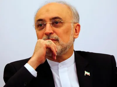 صالحی: ترامپ بازنده تاریخ است / او از خروجش از توافق هسته‌ای سودی نمی‌برد / برجام می‌توانست اعتماد از دست رفته میان ایران و آمریکا را بازگرداند / اگر بنا باشد از توافق خارج شویم به جایگاه گذشته بازنمی‌گردیم بلکه در موقعیتی بالاتر قرار خواهیم گرفت / پیامد هر گونه حمله جدید به دانشمندان هسته‌ای ایران ناگوار خواهد بود