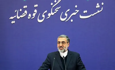 سخنگوی قوه قضائیه: حدود ۴۰ جلسه محاکمه عیسی شریفی برگزار شده / صدور حکم تا هفته‌های آینده