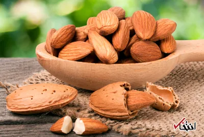 بهترین آجیل نوروزی برای چاق ها چیست؟