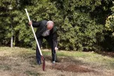 ببینید/ اصرار جالب پزشکیان بر کاشت دقیق درخت دوستی در پاکستان