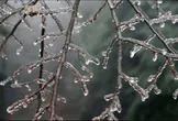 هشدار هواشناسی نسبت به «سرمای نامتعارف» در ۳۰ استان / با افزایش مصرف حامل‌های انرژی، احتمال کاهش منابع انرژی وجود دارد
