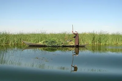 محیط زیست: فقط ۵۰ درصد هورالعظیم آبگیری شد / متاسفانه مسئولان می‌خواهند نیاز‌های مردم را با یک سری پروژه‌ها رفع کنند که به ضرر محیط زیست است / نباید طبیعت را دستکاری کنیم