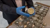 ببینید/ ۳۱ حلقه فیلم از دوران قاجار شناسایی شد