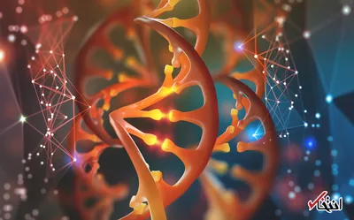آشنایی با برخی بیماری ها که از طریق DNA به افراد انتقال پیدا می کند