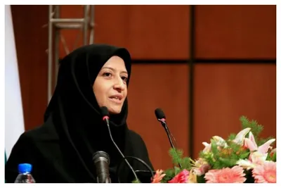 رئیس سازمان محیط‌زیست: پروژه قانونی به نام ‎ «پتروشیمی میانکاله» وجود ندارد
