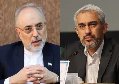 علی‌اکبر صالحی: انتخاب مدنی‌زاده به عنوان وزیر اقتصاد را اقدامی مدبرانه و آینده‌نگرانه می‌دانم