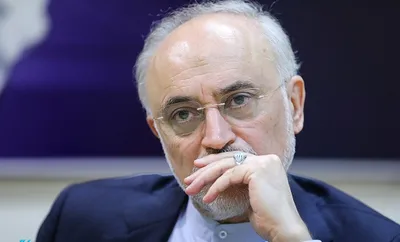 علی اکبر صالحی:  درحال بررسی موضوع کاندیداتوری ام هستم / اگر به قطعیت رسیدم، فردا یا پس فردا به وزارت کشور مراجعه می‌‌کنم
