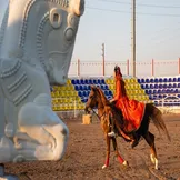 تصاویر: جشنواره کشوری اسب اصیل ایرانی - شیراز