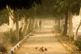 هواشناسی: وزش باد شدید در تهران/ ماندگاری گرما در استان طی هفته آینده