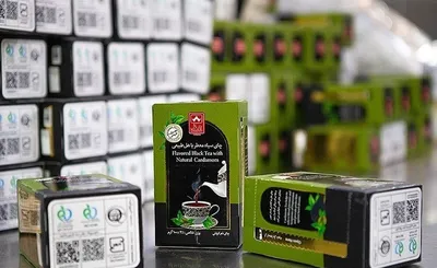 آخرین دفاعیات از متهم ردیف اول پرونده چای دبش / چای‌های وارداتی از کنیا را چگونه هندی جا می‌زدند؟