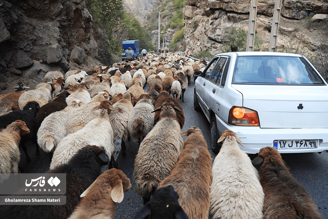 تصاویر: انسداد پر دردسر