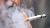 وزارت بهداشت: به ازای هر ایرانی روزانه ۲ نخ سیگار دود می‌شود؛ یعنی سالانه حدود ۷۷ میلیارد نخ سیگار در کشور مصرف می‌شود