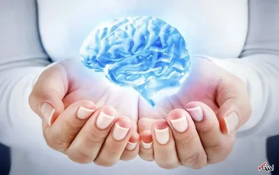 راهکارهایی برای محافظت از مغز