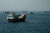نیکزاد، نائب رئیس مجلس: مسیر تعیین شده توسط نیروهای مسلح در تنگه هرمز، تنها مسیر برای تردد کشتی‌ها است