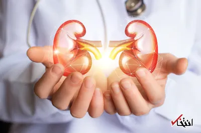 چگونه از کلیه ها به بهترین شکل حفاظت کنیم؟