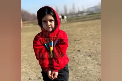 صدور حکم پرونده قتل دختر بچه ۷ ساله بوکانی؛ متهم اصلی به علت تجاوز به اعدام محکوم شد / سایر افراد مرتبط شامل بستگان دختر فوت شده، هر کدام به ۱۵ سال حبس محکوم شدند