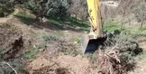 انتقاد عضو شورای شهر تهران از ساخت و ساز و تخریب شبانه درختان در دانشگاه تهران / امانی:  اهالی با من تماس گرفتند که به درختان به صورت عامدانه آب نمی دهند که خشک شود / باید خجالت بکشند
