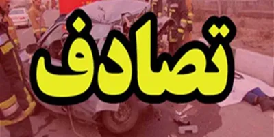 مصدومیت ۱۵ زائر ایرانی در پی واژگونی یک ون +اسامی