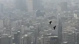 هشدار سطح زرد هواشناسی؛ هوای تهران تا چهارشنبه آلوده می‌شود