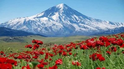 سازمان ثبت اسناد: اطراف روستای ملار وقف شده است نه کوه دماوند / امکان وقف کوه ها وجو ندراد